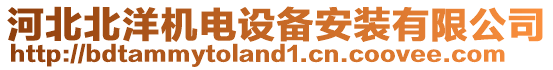 河北北洋機電設備安裝有限公司