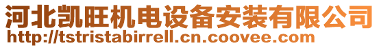 河北凱旺機(jī)電設(shè)備安裝有限公司