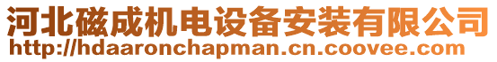 河北磁成機電設備安裝有限公司