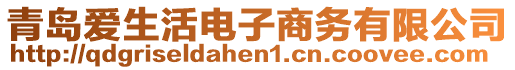 青島愛生活電子商務(wù)有限公司