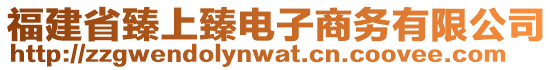 福建省臻上臻電子商務(wù)有限公司