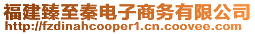 福建臻至秦電子商務有限公司