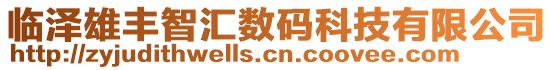 臨澤雄豐智匯數(shù)碼科技有限公司