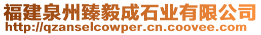 福建泉州臻毅成石業有限公司