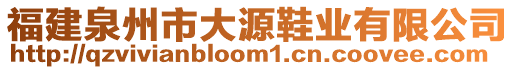 福建泉州市大源鞋業(yè)有限公司