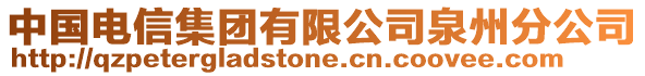 中國電信集團有限公司泉州分公司