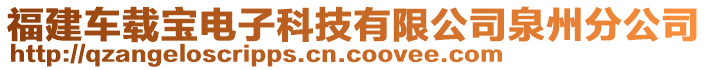 福建車載寶電子科技有限公司泉州分公司