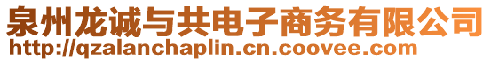 泉州龍誠與共電子商務有限公司