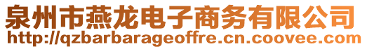 泉州市燕龍電子商務(wù)有限公司