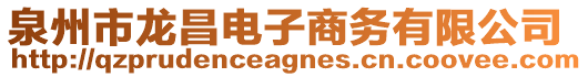 泉州市龍昌電子商務(wù)有限公司