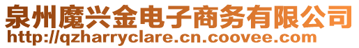 泉州魔興金電子商務(wù)有限公司