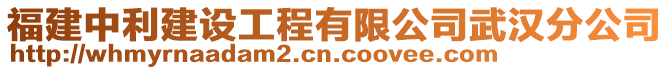 福建中利建設工程有限公司武漢分公司