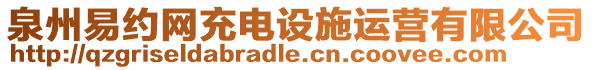 泉州易約網(wǎng)充電設(shè)施運(yùn)營(yíng)有限公司