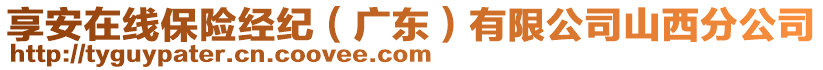 享安在線保險經(jīng)紀（廣東）有限公司山西分公司