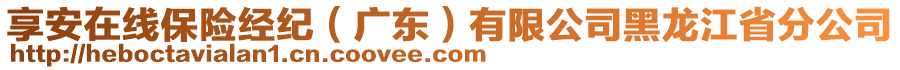 享安在線保險經(jīng)紀（廣東）有限公司黑龍江省分公司