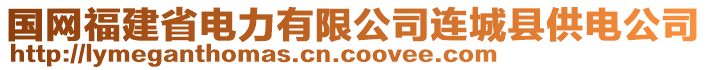 國網福建省電力有限公司連城縣供電公司