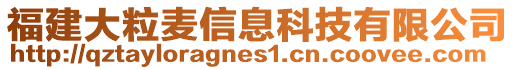 福建大粒麥信息科技有限公司