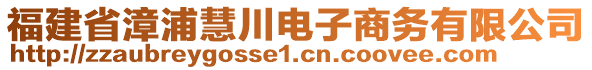 福建省漳浦慧川電子商務有限公司