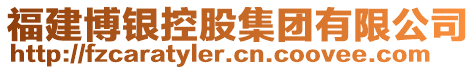 福建博銀控股集團有限公司