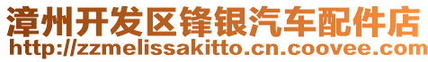 漳州開發(fā)區(qū)鋒銀汽車配件店