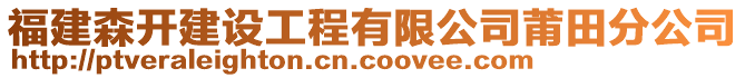 福建森開建設(shè)工程有限公司莆田分公司