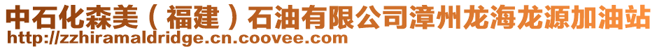 中石化森美（福建）石油有限公司漳州龍海龍源加油站