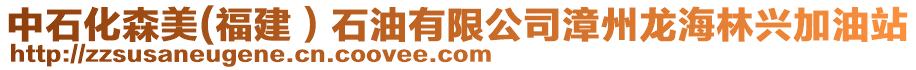 中石化森美(福建)石油有限公司漳州龍海林興加油站