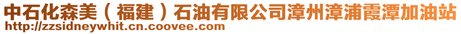 中石化森美(福建)石油有限公司漳州漳浦霞潭加油站