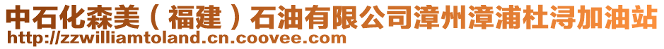 中石化森美(福建)石油有限公司漳州漳浦杜潯加油站