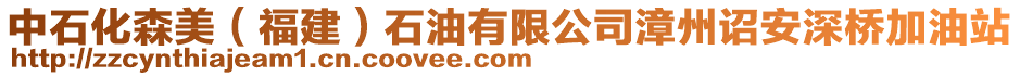 中石化森美(福建)石油有限公司漳州詔安深橋加油站