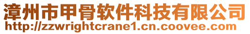 漳州市甲骨軟件科技有限公司