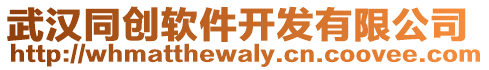 武漢同創(chuàng)軟件開發(fā)有限公司