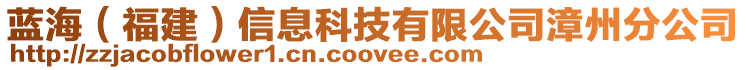 藍海（福建）信息科技有限公司漳州分公司