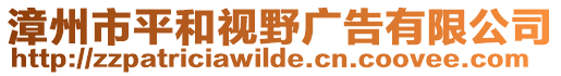 漳州市平和視野廣告有限公司