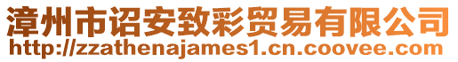 漳州市詔安致彩貿(mào)易有限公司