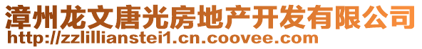 漳州龍文唐光房地產開發有限公司