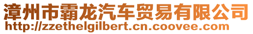 漳州市霸龍汽車貿(mào)易有限公司