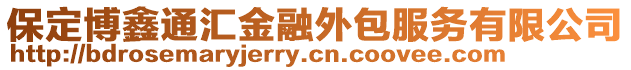 保定博鑫通匯金融外包服務有限公司