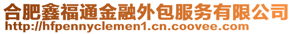 合肥鑫福通金融外包服務有限公司