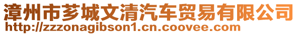 漳州市薌城文清汽車貿易有限公司