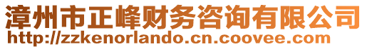 漳州市正峰財務咨詢有限公司