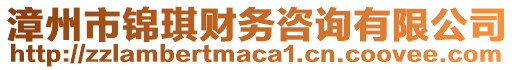 漳州市錦琪財務咨詢有限公司