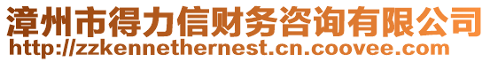 漳州市得力信財務咨詢有限公司