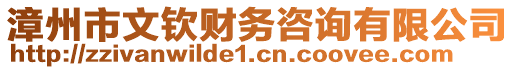 漳州市文欽財務(wù)咨詢有限公司