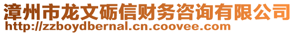漳州市龍文礪信財務咨詢有限公司
