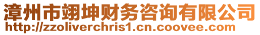 漳州市翊坤財務(wù)咨詢有限公司