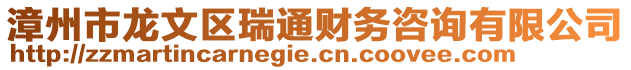 漳州市龍文區瑞通財務咨詢有限公司