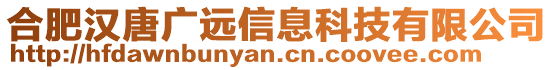 合肥汉唐广远信息科技有限公司