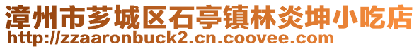 漳州市芗城区石亭镇林炎坤小吃店