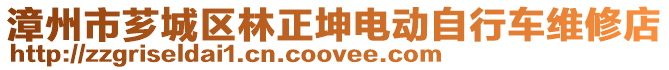 漳州市薌城區(qū)林正坤電動自行車維修店